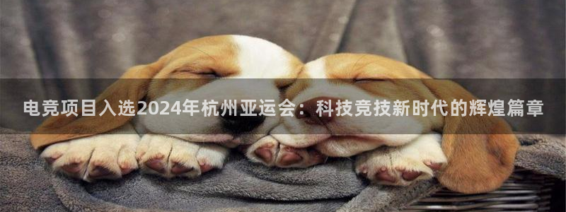 db电竞官网入口：电竞项目入选2024年杭州亚运会：科技竞技新时代的辉煌篇章