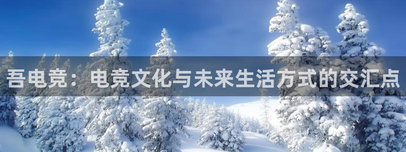 db电竞官网martini：吾电竞：电竞文化与未来生活方式的交汇点