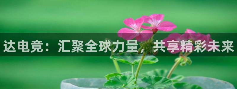 db电竞官网：达电竞：汇聚全球力量，共享精彩未来
