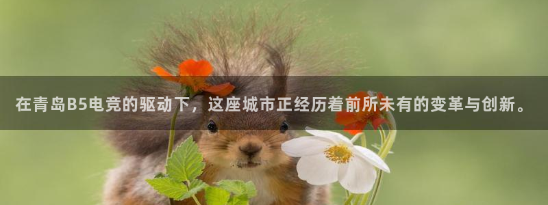 db电竞平台：在青岛B5电竞的驱动下，这座城市正经历着前所未有的变革与创新。