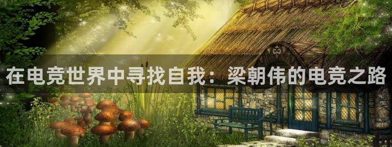 db电竞网页版：在电竞世界中寻找自我：梁朝伟的电竞之路