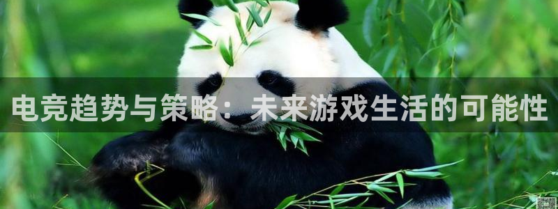 db电竞下载：电竞趋势与策略：未来游戏生活的可能性