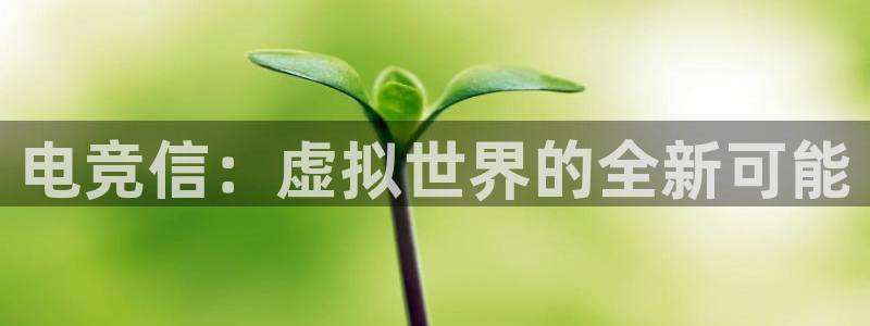 db电竞是什么软件啊：电竞信：虚拟世界的全新可能